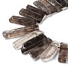 Natural Smoky Quartz Beads Strands G-L551B-13-3