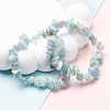 Unisex Chip Natural Aquamarine Beaded Stretch Bracelets BJEW-S143-33-6