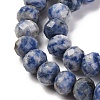 Natural Blue Spot Jasper Beads Strands G-K380-A02-01-4
