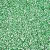 6/0 Baking Paint Transparent Fringe Glass Seed Beads SEED-N006-06K-3