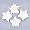 Freshwater Shell Big Pendants SHEL-T012-10-1