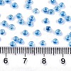 8/0 Glass Seed Beads X-SEED-A015-3mm-2216-4