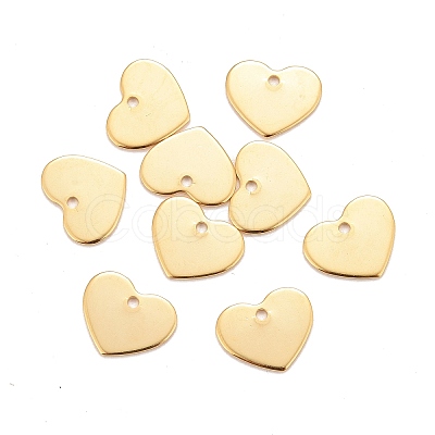 201 Stainless Steel Charms LS-STAS-K217-76G-1