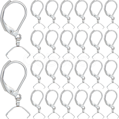 60Pcs 304 Stainless Steel Leverback Earring Findings STAS-SP0001-21P-1
