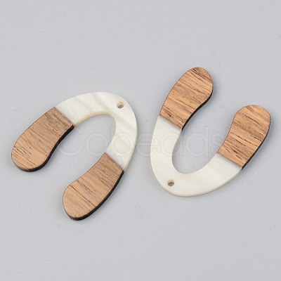 Opaque Resin & Walnut Wood Pendants RESI-S389-058A-C04-1