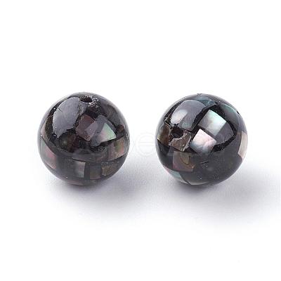 Natural Black Lip Shell Beads SSHEL-Q298-16mm-10-1