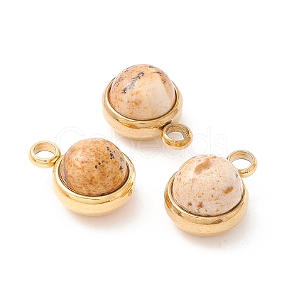 Natural Picture Jasper Charms G-K325-01G-06-1