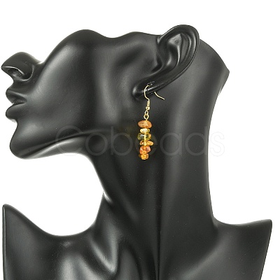 Natural Amber Chip Dangle Earrings EJEW-JE07018-1