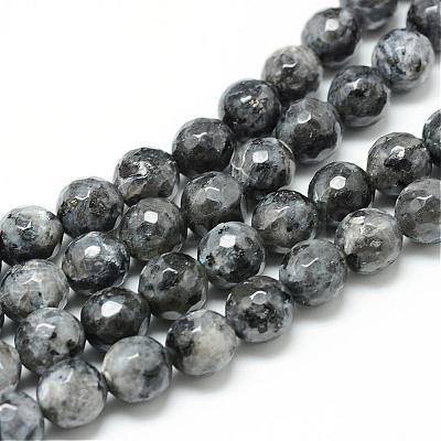 Natural Larvikite Bead Strands G-R176-6mm-07-1