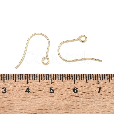 304 Stainless Steel Earring Hooks STAS-F142-01G-1