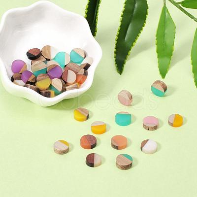Resin & Walnut Wood Cabochons RESI-S358-70-1