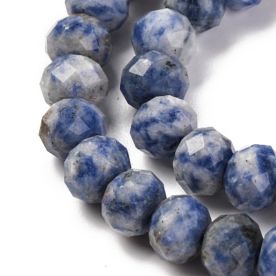 Natural Blue Spot Jasper Beads Strands G-K380-A02-01-1