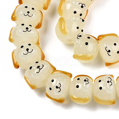 Handmade Lampwork Beads Strands LAMP-N021-42F-1