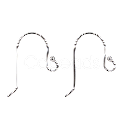 925 Sterling Silver Earring Hooks STER-G011-13-1