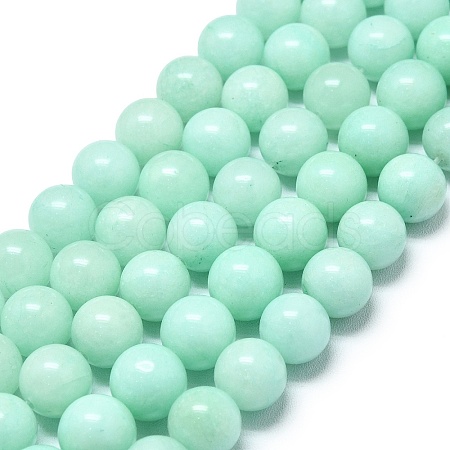 Natural Malaysia Jade Beads Strands G-L645-A01-10mm-31-1