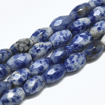 Natural Blue Spot Jasper Beads Strands G-S357-A06-1