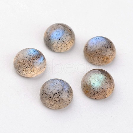 Natural Labradorite Cabochons X-G-D804-02-1