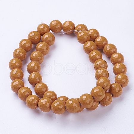 Natural Hokutolite Beads Strands G-D871-10mm-06-1