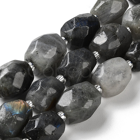 Natural Labradorite Beads Strands G-C105-A02-01-1