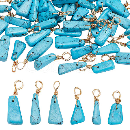 50Pcs Dyed Natural Howlite Pendants PALLOY-AB00142-1