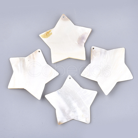 Freshwater Shell Big Pendants SHEL-T012-10-1