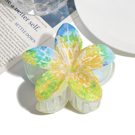 Resin Claw Hair Clips PW-WG7528A-05-1