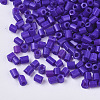 8/0 Two Cut Glass Seed Beads SEED-S033-06A-07-2