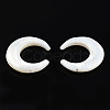 Natural White Shell Connector Charms SSHEL-N034-159-1