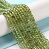 Natural Peridot Beads Strands G-M421-B04-02-2