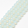 Baking Paint Glass Beads Strands X-DGLA-Q023-8mm-DB1-1