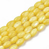 Natural Freshwater Shell Beads Strands SHEL-N003-25-B05-1