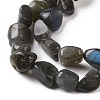 Natural Larvikite Beads Strands G-A208-08-4