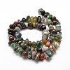 Natural Indian Agate Chip Beads Strands X-G-E271-106-2