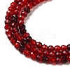 Transparent Glass Beads Strands GLAA-H027-01C-4
