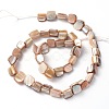 Erose Shell Beads Strands PBB071Y-2