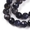 Natural Cordierite/Iolite/Dichroite Beads Strands G-S345-6mm-27-4