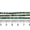 Natural Fuchsite Beads Strands G-F782-A03-01-5