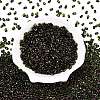 Picasso Spray Painted Glass Seed Beads SEED-T006-04-19-1