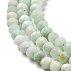 Natural Green Opal Beads Strands G-Z035-A02-02B-4