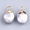 Electroplate Natural Howlite Charms G-S344-09F-2