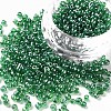 8/0 Glass Seed Beads SEED-A006-3mm-107-1