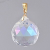 Glass Pendants PALLOY-JF00445-03-4