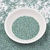 MIYUKI Delica Beads SEED-J020-DB2313-2
