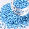 8/0 Glass Seed Beads SEED-A012-3mm-123-1
