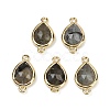 Natural Labradorite Faceted Connector Charms G-L514-048P-05-1