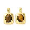 Natural Tiger Eye Pendants KK-H461-01G-1