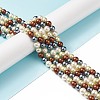 Shell Pearl Bead Strands BSHE-L017-18-6