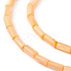 Natural Freshwater Shell Dyed Beads Strands SHEL-M018-11-4