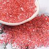 Glass Seed Beads SEED-K009-08B-05-1