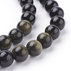 Natural Golden Sheen Obsidian Beads Strands X-G-C076-8mm-5-3